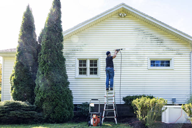 Best Gutter Cleaning  in Farmersville, CA